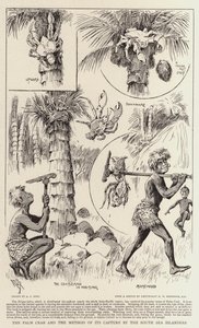 Le crabe des palmiers et la méthode de sa capture par les insulaires des mers du Sud - Alexander Stuart Boyd